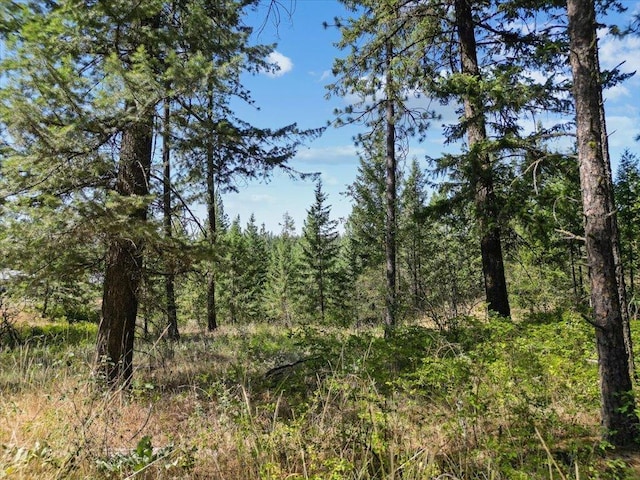 NKA Weaver Way Lot 3Of Lot 1, Deer Park, WA 99006