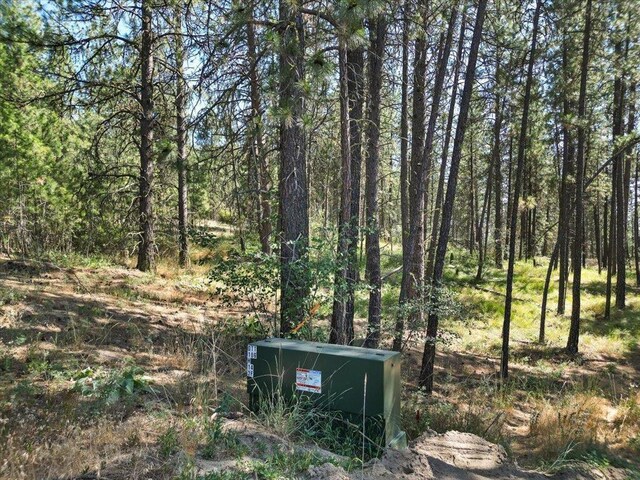 NKA Weaver Way Lot 3Of Lot 1, Deer Park, WA 99006