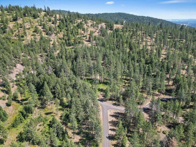 NKA Weaver Way Lot 3Of Lot 1, Deer Park, WA 99006