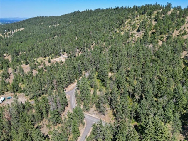 NKA Weaver Way Lot 3Of Lot 1, Deer Park, WA 99006