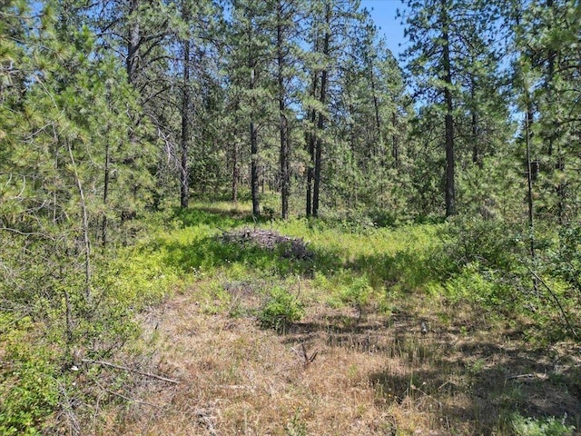 NKA Weaver Way Lot 3Of Lot 1, Deer Park, WA 99006