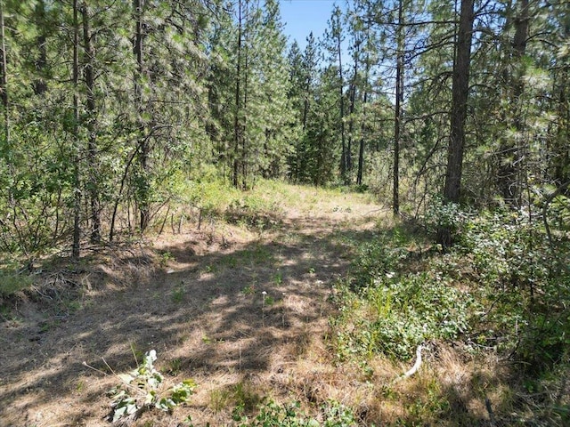 NKA Weaver Way Lot 3Of Lot 1, Deer Park, WA 99006