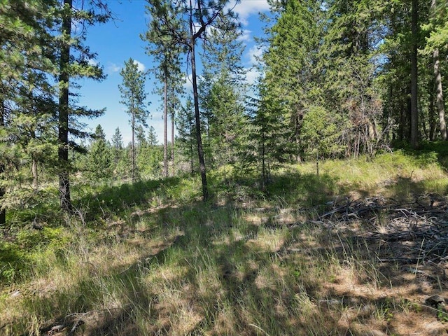 NKA Weaver Way Lot 3Of Lot 1, Deer Park, WA 99006