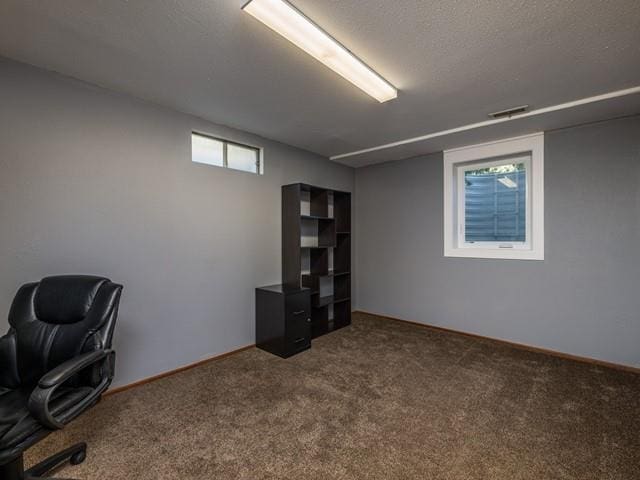 10108 E 19th Ave, Spokane Valley, WA 99206 - unfurnished office with carpet floors and a textured ceiling