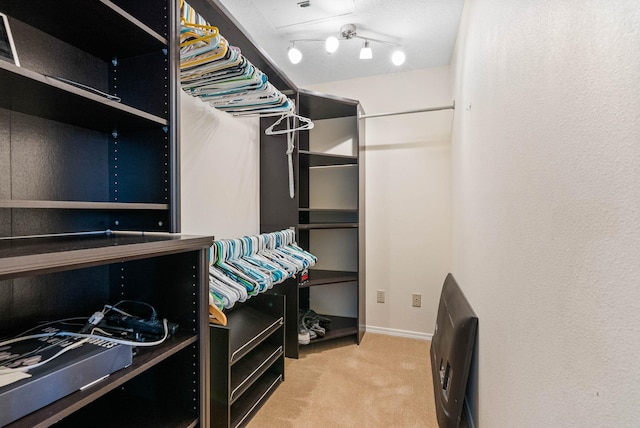 6204 E Custer Ln, Spokane, WA 99223 - spacious closet featuring carpet floors