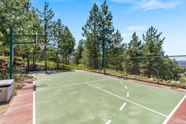 6204 E Custer Ln, Spokane, WA 99223 - view of basketball court featuring community basketball court