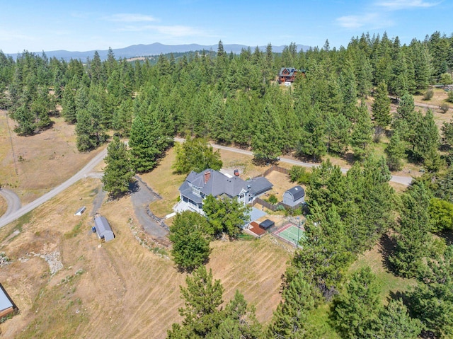 6204 E Custer Ln, Spokane, WA 99223 - aerial view of property's location featuring a forest and a mountainous background