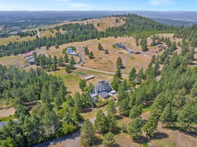 6204 E Custer Ln, Spokane, WA 99223 - aerial overview of property's location with rural landscape