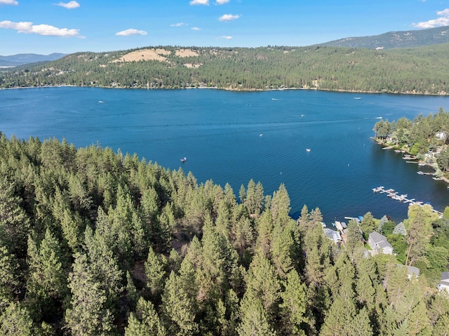 2003 S Liberty Dr, Liberty Lake, WA 99019 - photo 19