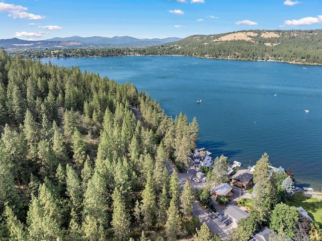 2003 S Liberty Dr, Liberty Lake, WA 99019 - photo 20