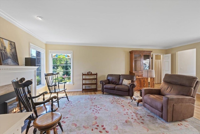 2718 S Hatch St, Spokane, WA 99203 - living room with a glass covered fireplace, crown molding, and light wood-type flooring