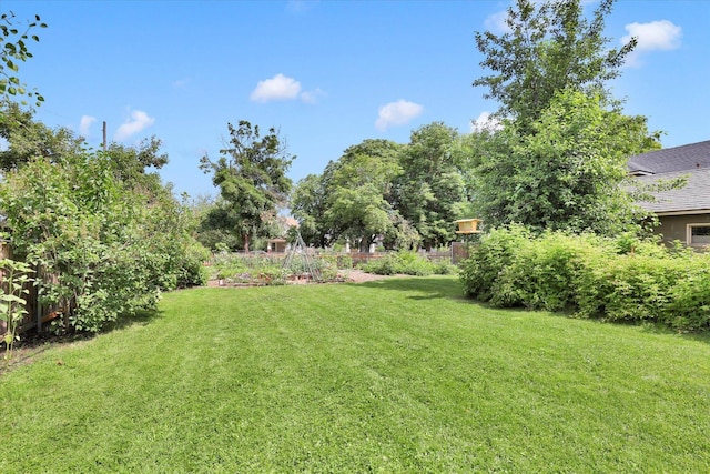 2116 N Jefferson St, Spokane, WA 99205 - view of yard
