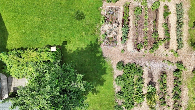 2116 N Jefferson St, Spokane, WA 99205 - bird's eye view