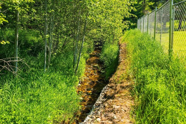 462 Gold Creek Loop Rd, Colville, WA 99114 - photo 22