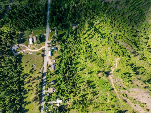 462 Gold Creek Loop Rd, Colville, WA 99114 - photo 28
