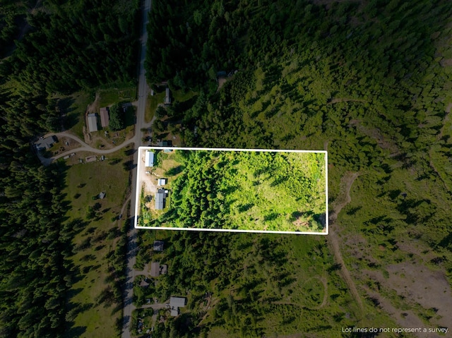 462 Gold Creek Loop Rd, Colville, WA 99114 - photo 29