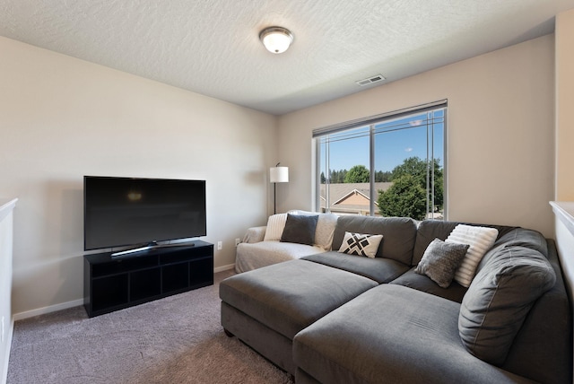 1115 S Mcmillan Rd, Spokane Valley, WA 99016 - living room with carpet floors and a textured ceiling