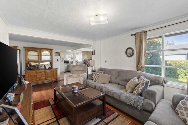 7225 E 11th Ave, Spokane, WA 99212 - living area featuring dark wood finished floors, plenty of natural light, a textured ceiling, and crown molding