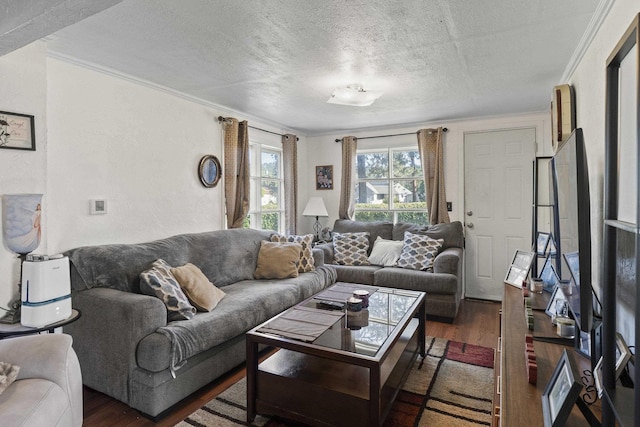 7225 E 11th Ave, Spokane, WA 99212 - living area featuring wood finished floors, a textured ceiling, and crown molding