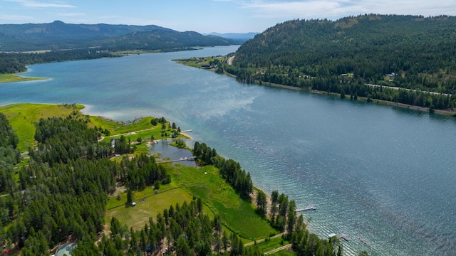 9801 Lakeshore Dr, Sagle, ID 83860 - water view featuring mountains and a forest