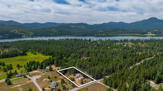 9801 Lakeshore Dr, Sagle, ID 83860 - mountain view with a forest