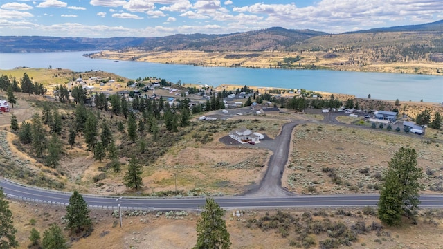 42255 Deer Heights N Drive Lot 1, Deer Meadows, WA 99122