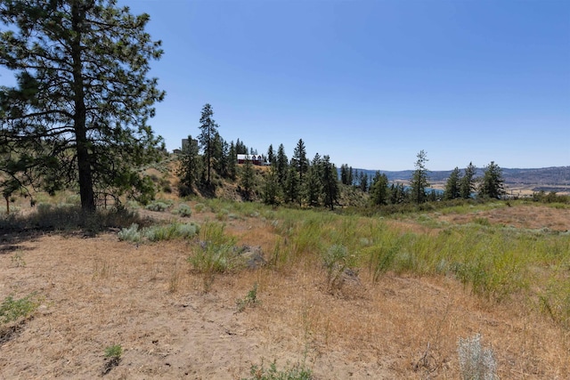 42255 Deer Heights N Drive Lot 1, Deer Meadows, WA 99122