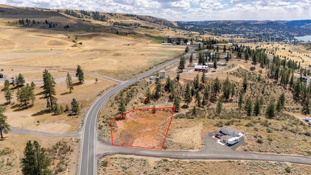 42255 Deer Heights N Drive Lot 1, Deer Meadows, WA 99122