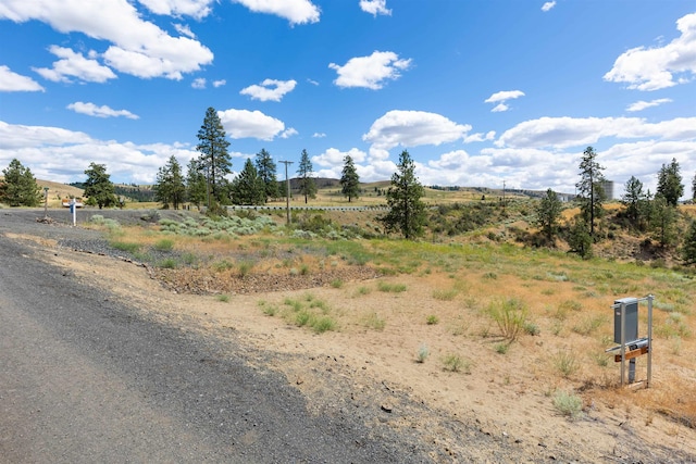 42255 Deer Heights N Drive Lot 1, Deer Meadows, WA 99122