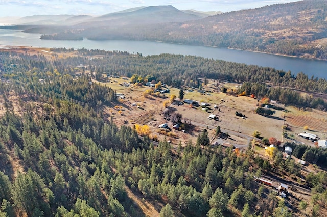 1306 Peachcrest Rd, Kettle Falls, WA 99141 - photo 35