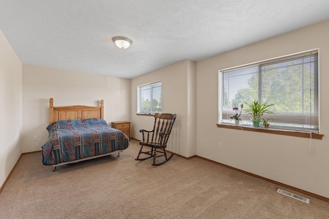 14316 E 31st Ln, Veradale, WA 99037 - bedroom featuring carpet floors and a textured ceiling