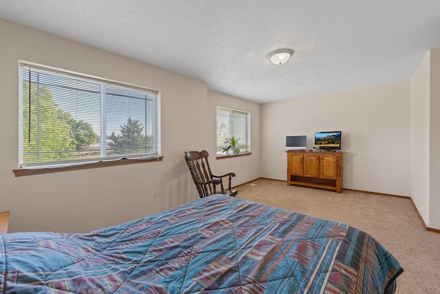 14316 E 31st Ln, Veradale, WA 99037 - bedroom with multiple windows, light carpet, and a textured ceiling