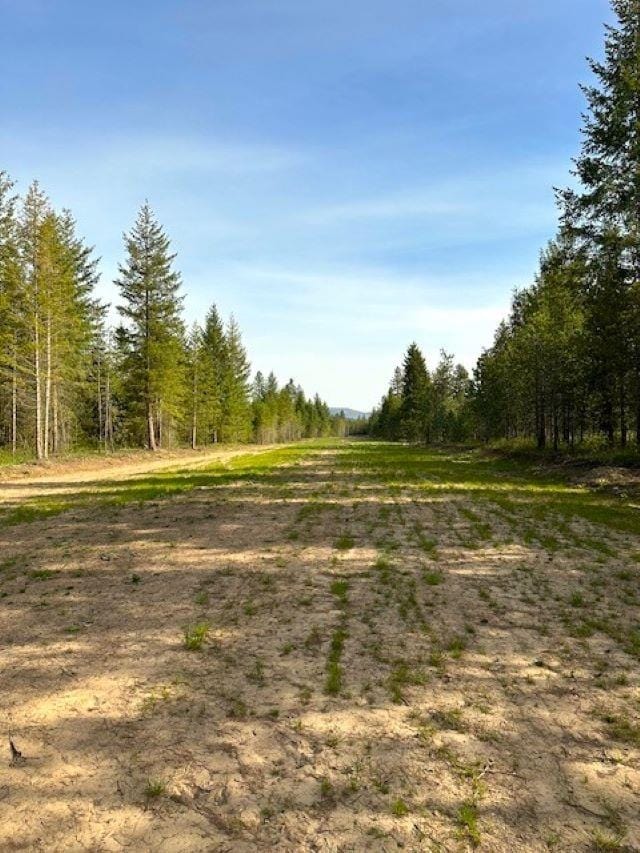 4109 Cemetery Rd, Springdale, WA 99173
