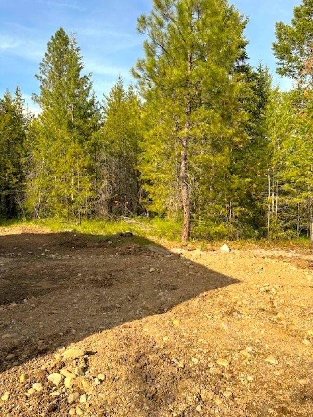 4109 Cemetery Rd, Springdale, WA 99173