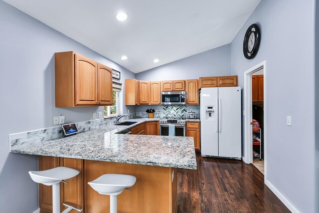 5885 Sandy Court Way, Nine Mile Falls, WA 99026 - kitchen featuring stainless steel appliances, vaulted ceiling, light stone counters, dark wood-style floors, and a peninsula