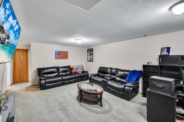 5885 Sandy Court Way, Nine Mile Falls, WA 99026 - living area with a textured ceiling and carpet floors