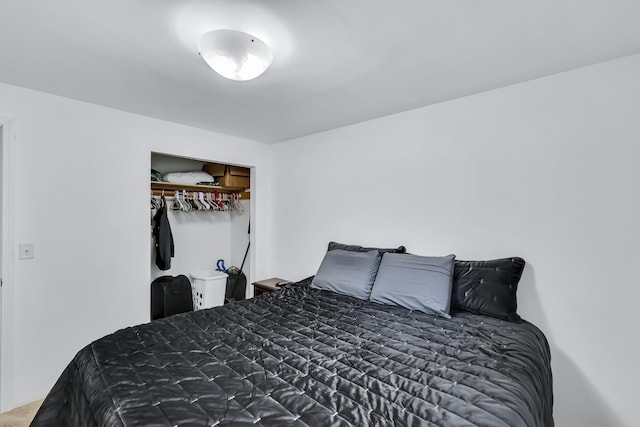 5885 Sandy Court Way, Nine Mile Falls, WA 99026 - bedroom with a closet