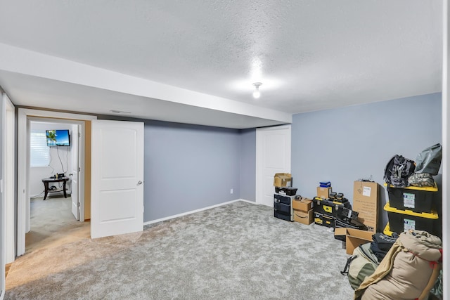 5885 Sandy Court Way, Nine Mile Falls, WA 99026 - below grade area with carpet flooring and a textured ceiling