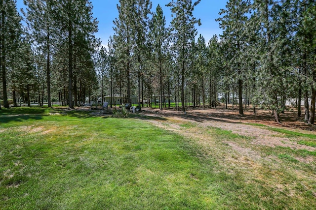 5885 Sandy Court Way, Nine Mile Falls, WA 99026 - view of green lawn