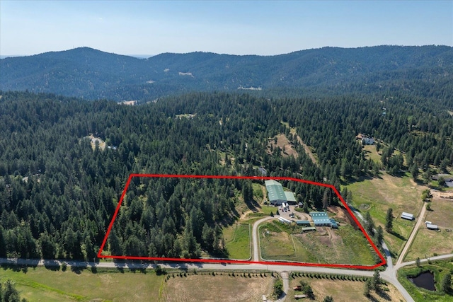 8815 N Harvard Rd, Newman Lake, WA 99025 - photo 44
