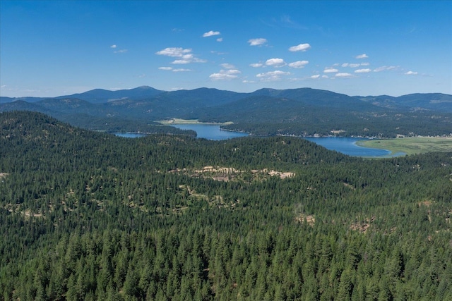 8815 N Harvard Rd, Newman Lake, WA 99025 - photo 47