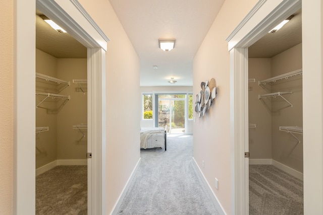 705 W Basalt Ridge Dr, Spokane, WA 99224 - hallway featuring carpet floors