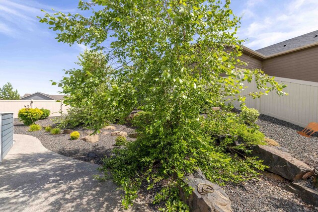 705 W Basalt Ridge Dr, Spokane, WA 99224 - view of yard