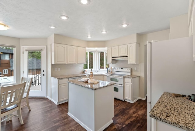 14 W Elcliff Ave, Spokane, WA 99218 - kitchen featuring white appliances, under cabinet range hood, healthy amount of natural light, backsplash, and recessed lighting