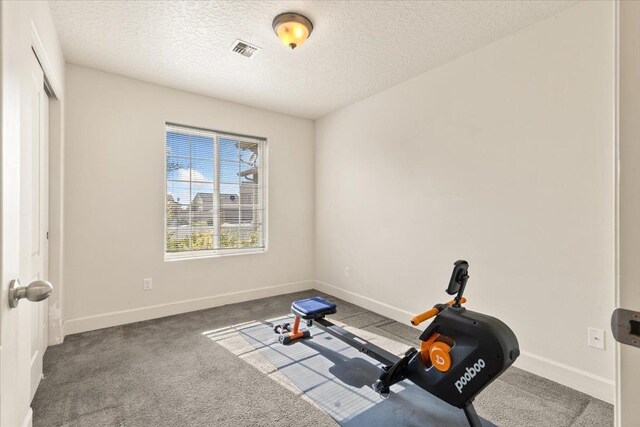 7619 S Camille Ct, Cheney, WA 99004 - exercise area with carpet flooring and a textured ceiling