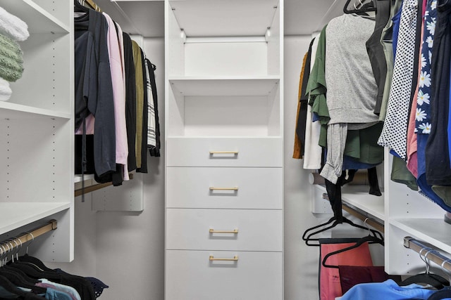 5706 W Excell Ave, Spokane, WA 99208 - view of walk in closet