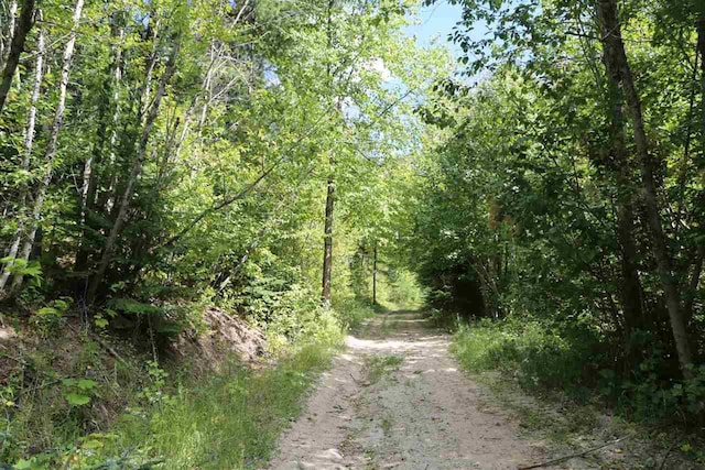 17616 E Tallman Rd, Chattaroy, WA 99003 - photo 2
