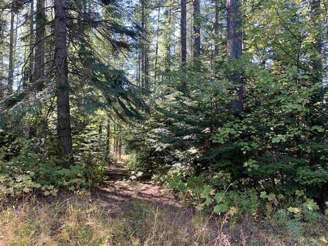 17616 E Tallman Rd, Chattaroy, WA 99003 - photo 3