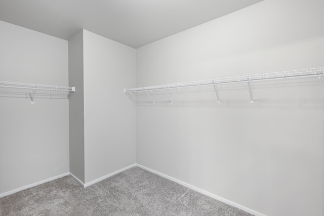 8410 W Sugar Ct, Cheney, WA 99004 - walk in closet with carpet floors