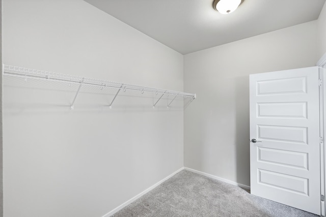 8410 W Sugar Ct, Cheney, WA 99004 - spacious closet with carpet